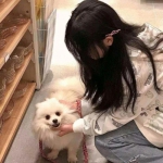 新澳门游戏网站入口手机app下载